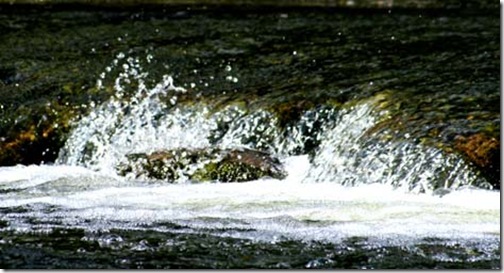 aysgarthfalls_splash