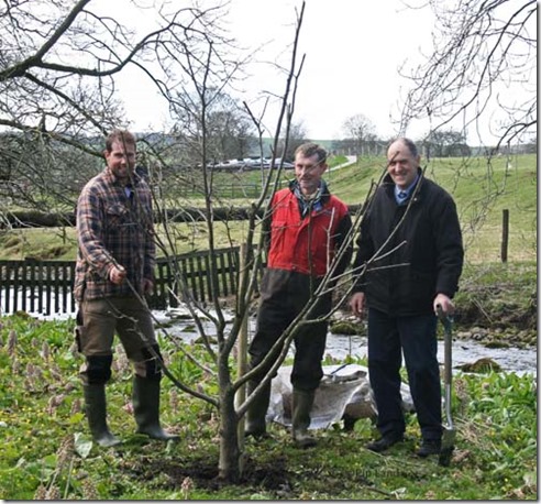 treeplanting_four