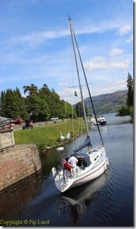 fortaugustus_one