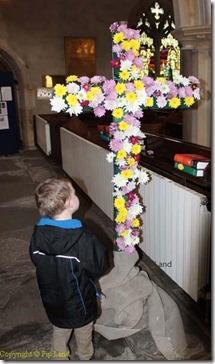 flower_cross